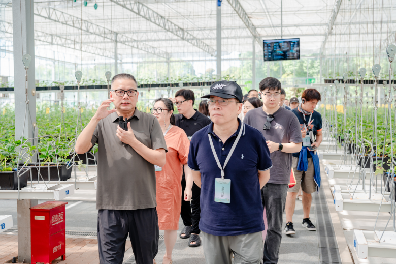 太美了！2025世界溫州人文藝家赴楠溪江創(chuàng)作采風紀實